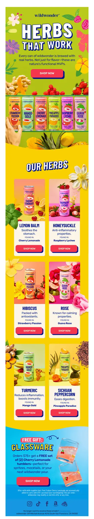 your herbs explained